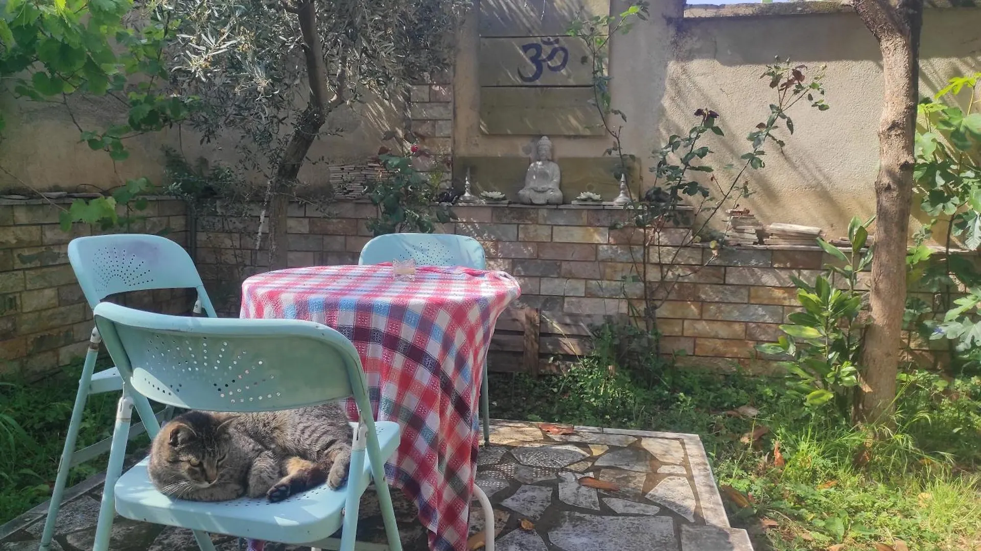 Pinwheel Hostel Vlora & Rooftop Bar