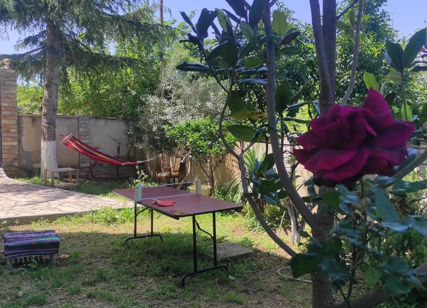 Pinwheel Hostel Vlora & Rooftop Bar